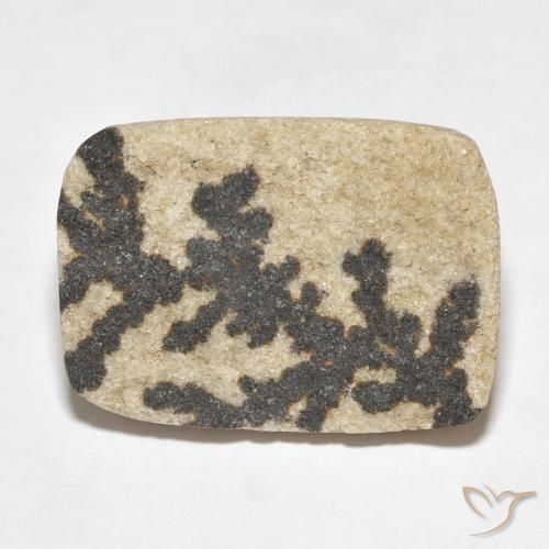 18.24ct Natürlicher Mehrfarbig Psilomelan-Dendriten, Kissen, Lichtundurchlässig