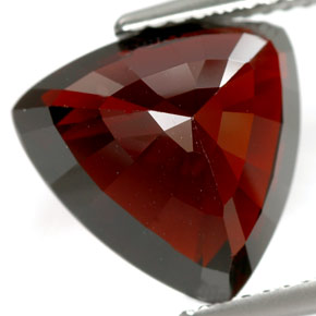 8,18 ctw natürlicher roter Pyrop, Trillion, IF