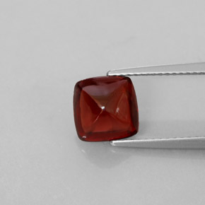 2,70 ctw natürlicher roter Pyrop, Transparent, Transparent / Lichtdurchlässig