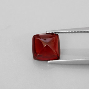 2,98 ctw natürlicher roter Pyrop, Transparent, Transparent / Lichtdurchlässig