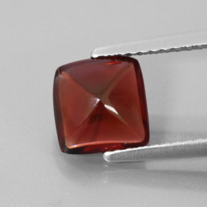 1,95 ctw natürlicher roter Pyrop, Transparent, Transparent / Lichtdurchlässig