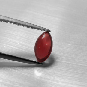 1,20 ctw natürlicher roter Pyrop, Transparent, Transparent / Lichtdurchlässig
