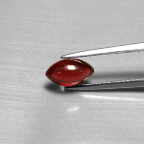 1,39 ctw natürlicher roter Pyrop, Transparent, Transparent / Lichtdurchlässig