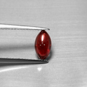 1,39 ctw natürlicher roter Pyrop, Transparent, Transparent / Lichtdurchlässig