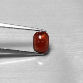 1,47 ctw natürlicher roter Pyrop, Transparent, Transparent / Lichtdurchlässig