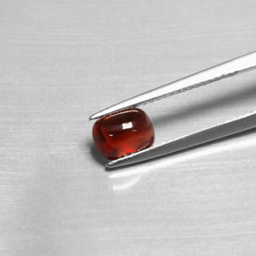 1,47 ctw natürlicher roter Pyrop, Transparent, Transparent / Lichtdurchlässig