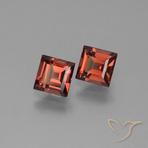 1.55 ct natürliche Tiefes Beerenrot Pyrop-Granat-Edelsteine, Quadrat, VS