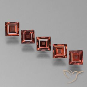 2.86 ct natürliche Ziegelrot Pyrop-Granat-Edelsteine, Quadrat, VS