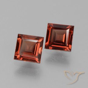 1.58 ct natürliche Mittelrot Pyrop-Granat-Edelsteine, Quadrat, VVS-VS