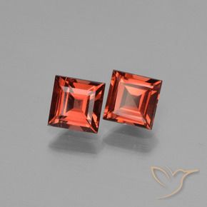 1.59 ct natürliche Scharlachrot Pyrop-Granat-Edelsteine, Quadrat, VS