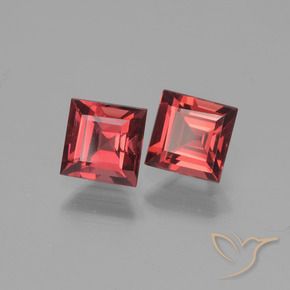 1.69 ct natürliche Tiefes Weinrot Pyrop-Granat-Edelsteine, Quadrat, VVS