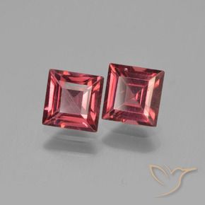1.62 ct natürliche Merlot Rot Pyrop-Granat-Edelsteine, Quadrat, VVS
