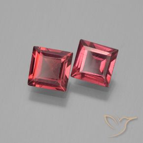 1.54 ct natürliche Tiefes Weinrot Pyrop-Granat-Edelsteine, Quadrat, VVS