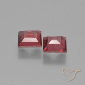 1.54 ct natürliche Tiefes Weinrot Pyrop-Granat-Edelsteine, Quadrat, VVS