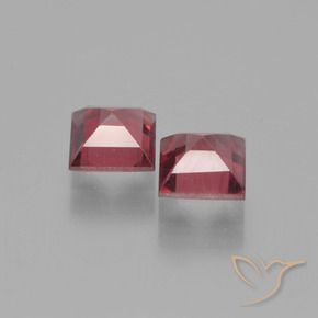 1.57 ct natürliche Mittel-Dunkelrot Pyrop-Granat-Edelsteine, Quadrat, VS