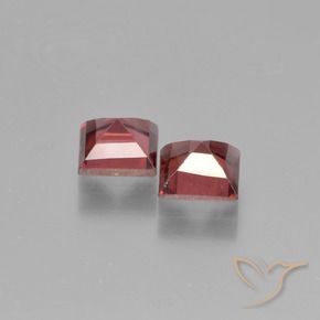 1.55 ct natürliche Scharlachrot Pyrop-Granat-Edelsteine, Quadrat, VS