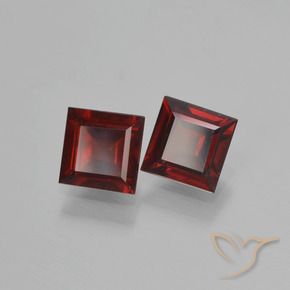 1.55 ct natürliche dunkelrot Pyrop-Granat-Edelsteine, Quadrat, VS