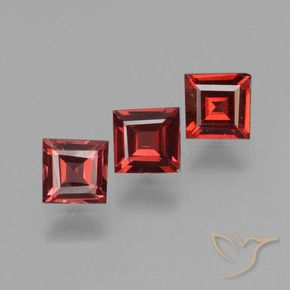 1.73 ct natürliche tiefrot Pyrop-Granat-Edelsteine, Quadrat, VS