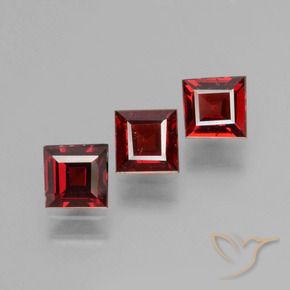 1.70 ct natürliche Tiefes Blutrot Pyrop-Granat-Edelsteine, Quadrat, VS