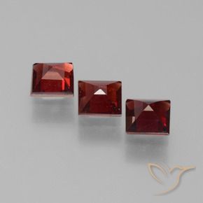 1.70 ct natürliche Tiefes Blutrot Pyrop-Granat-Edelsteine, Quadrat, VS