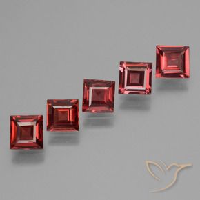 2.78 ct natürliche Blutrot Pyrop-Granat-Edelsteine, Quadrat, VS