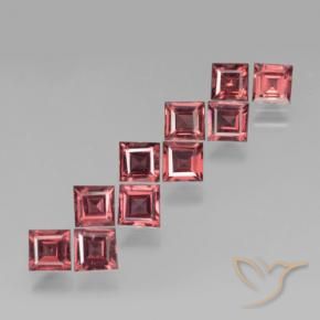 3.84 ct natürliche Mittel-Dunkelrot Pyrop-Granat-Edelsteine, Quadrat, VS