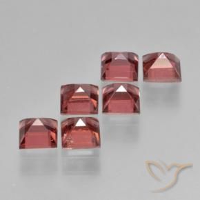 2.67 ct natürliche Hellrot Pyrop-Granat-Edelsteine, Quadrat, VS
