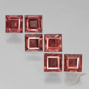 2.89 ct natürliche Helles Scharlachrot Pyrop-Granat-Edelsteine, Quadrat, VS