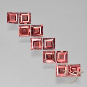 3.77 ct natürliche Hellrot Pyrop-Granat-Edelsteine, Quadrat, VS