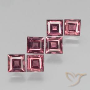 2.78 ct natürliche dunkelrot Pyrop-Granat-Edelsteine, Quadrat, VS