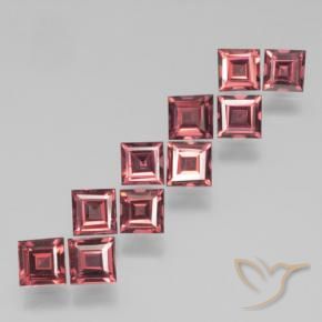 4.03 ct natürliche Merlot Rot Pyrop-Granat-Edelsteine, Quadrat, VS