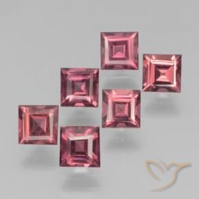 2.69 ct natürliche tiefrot Pyrop-Granat-Edelsteine, Quadrat, VS
