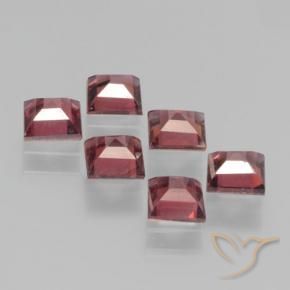 2.55 ct natürliche Mittelrot Pyrop-Granat-Edelsteine, Quadrat, VS