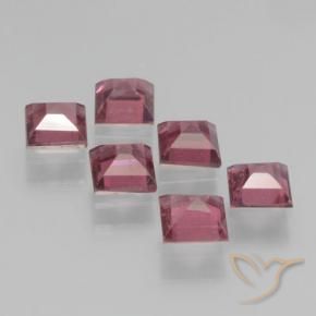2.64 ct natürliche Merlot Rot Pyrop-Granat-Edelsteine, Quadrat, VS