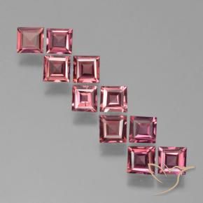 3.41 ct natürliche Merlot Rot Pyrop-Granat-Edelsteine, Quadrat, VS