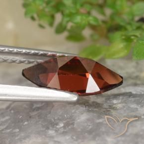 9,17 ctw natürlicher dunkelrot Pyrop-Granat, Marquise, VVS-VS