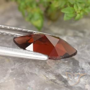 9,17 ctw natürlicher dunkelrot Pyrop-Granat, Marquise, VVS-VS