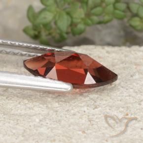 9,17 ctw natürlicher Mittleres Dunkelrot Pyrop-Granat, Marquise, VVS-VS