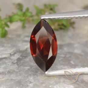 9,17 ctw natürlicher dunkelrot Pyrop-Granat, Marquise, VVS-VS