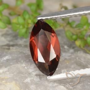 9,17 ctw natürlicher tiefrot Pyrop-Granat, Marquise, VS