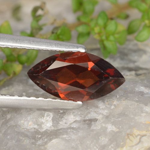 1.25ct Natürlicher dunkelrot Pyrop-Granat, Marquise, VVS