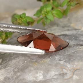 9,17 ctw natürlicher dunkelrot Pyrop-Granat, Marquise, VVS-VS