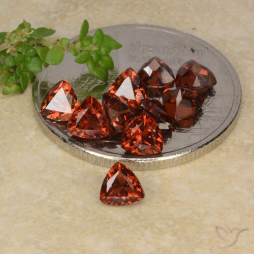 2.89 ct natürliche Scharlachrot Pyrop-Granat-Edelsteine, Trillion, VS