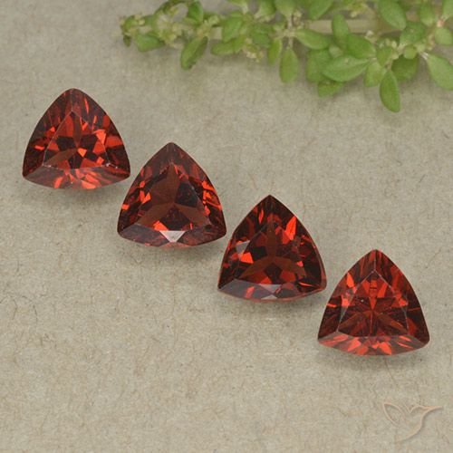 3.33ctw Natürlicher Merlot Rot Pyrop-Granat, Trillion, VVS-VS