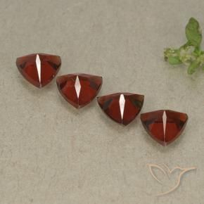 3.33 ct natürliche Merlot Rot Pyrop-Granat-Edelsteine, Trillion, VVS-VS