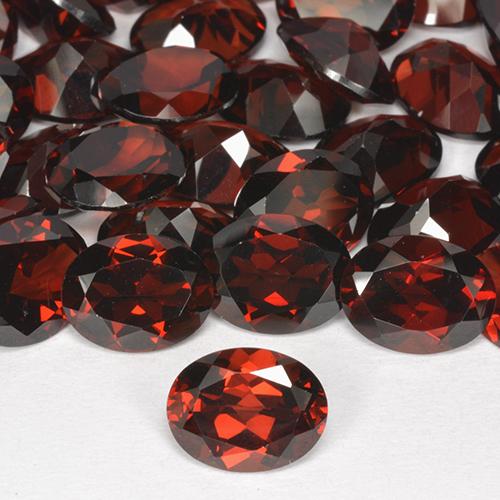 8.73 ct natürliche Rot Pyrop-Granat-Edelsteine, Oval Schliff, VVS-VS