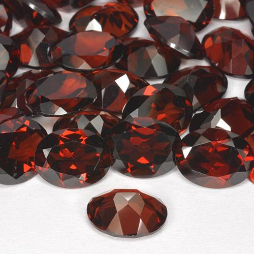 8.73 ct natürliche Rot Pyrop-Granat-Edelsteine, Oval Schliff, VVS-VS