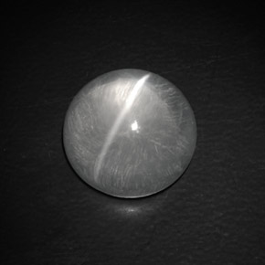 9,02 ctw natürlicher weißer Quartz Cat's Eye, Rundschliff, Transparent