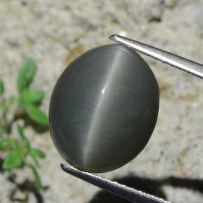 7,96 ctw natürlicher grauer Quartz Cat's Eye, Oval Schliff, Lichtundurchlässig