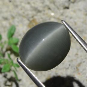 7,96 ctw natürlicher grauer Quartz Cat's Eye, Oval Schliff, Lichtundurchlässig